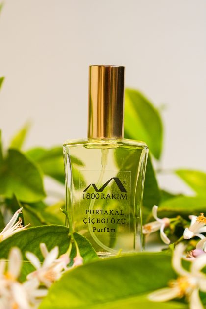 PORTALAL ÇİÇEĞİ ÖZÜ