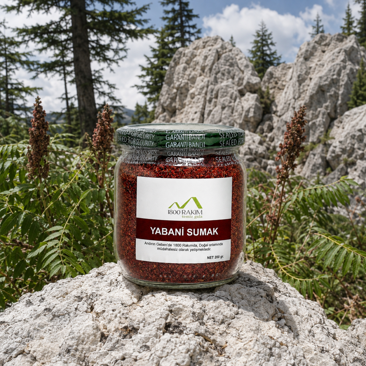 Yabani Sumak — Net 200 g