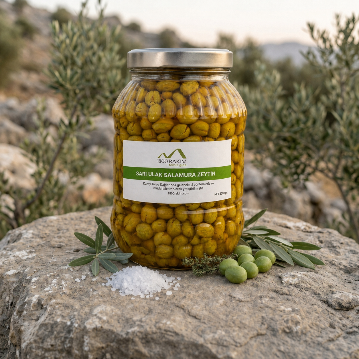 Sarı Ulak Salamura Zeytin — Net 3000 g